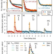 Neutral and charged biexciton-exciton cascade in near-telecom-wavelength quantum dots