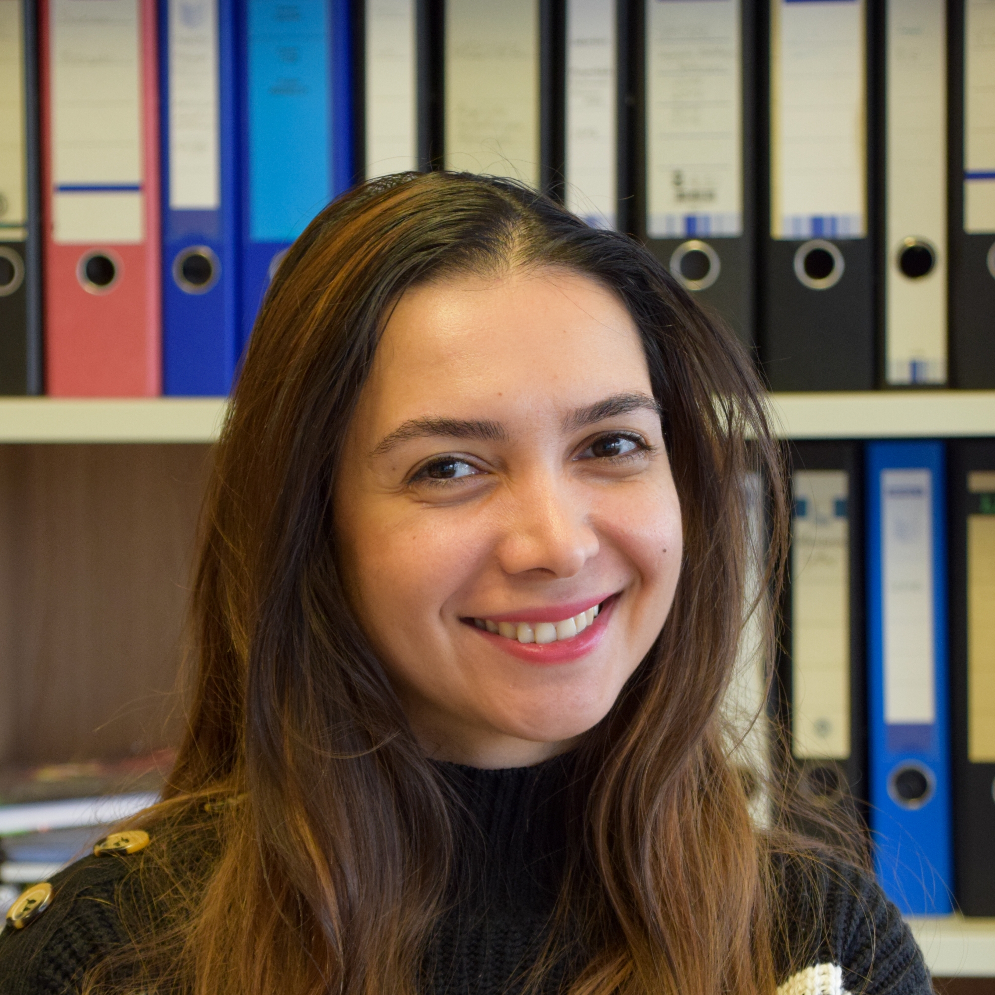This image shows BSc Arina Farsian